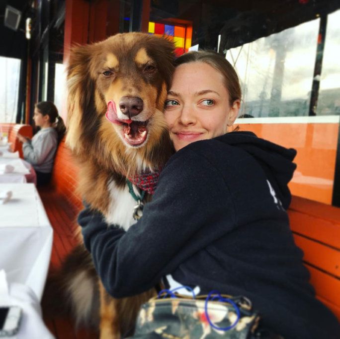 أماندا Seyfried and Finn 