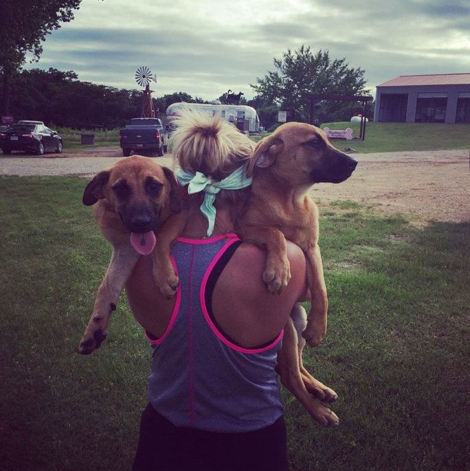 ميراندا Lambert and two rescue pups 