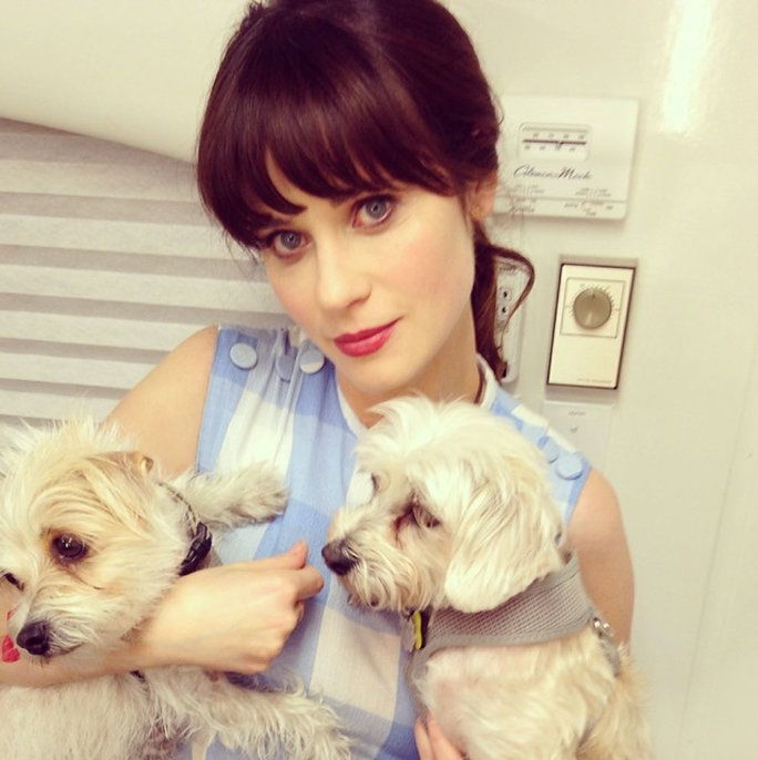 زوي Deschanel, Dot and Zelda 