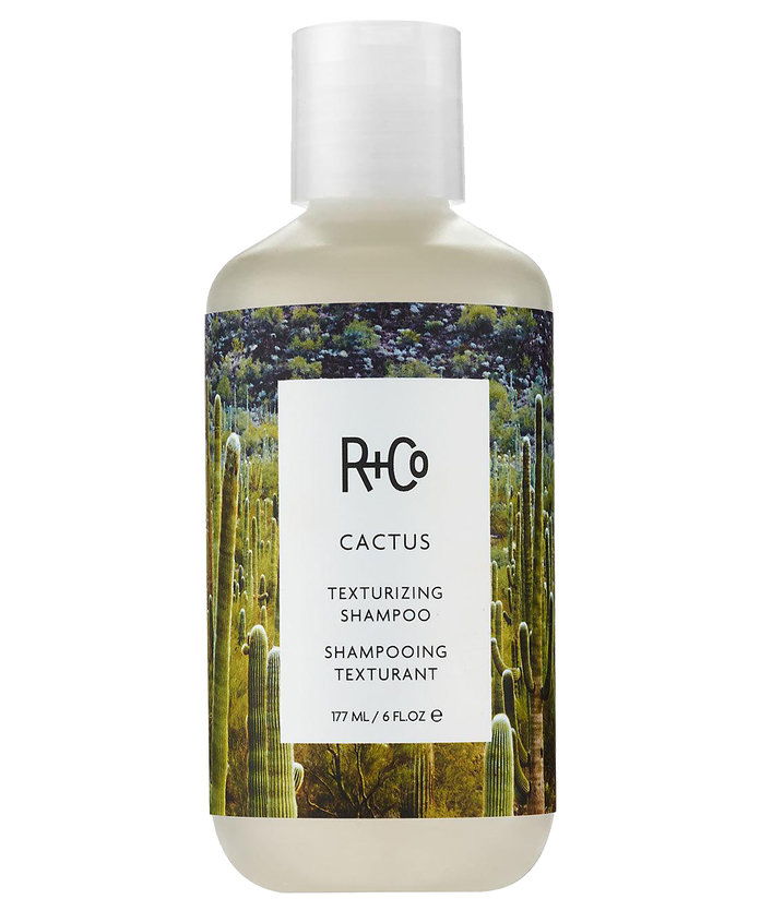 Р + Co Cactus Texturizing Shampoo 