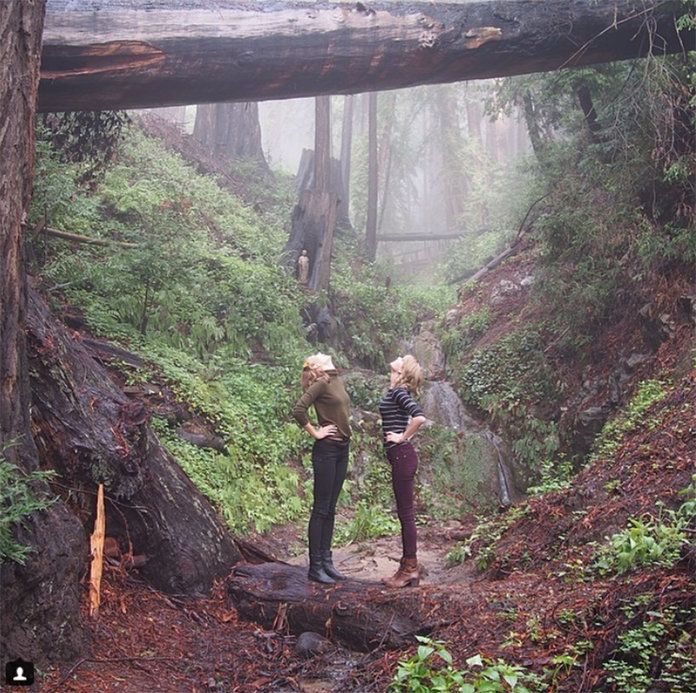 متى they explored the forest together (and who is taller) on their Big Sur trip. 