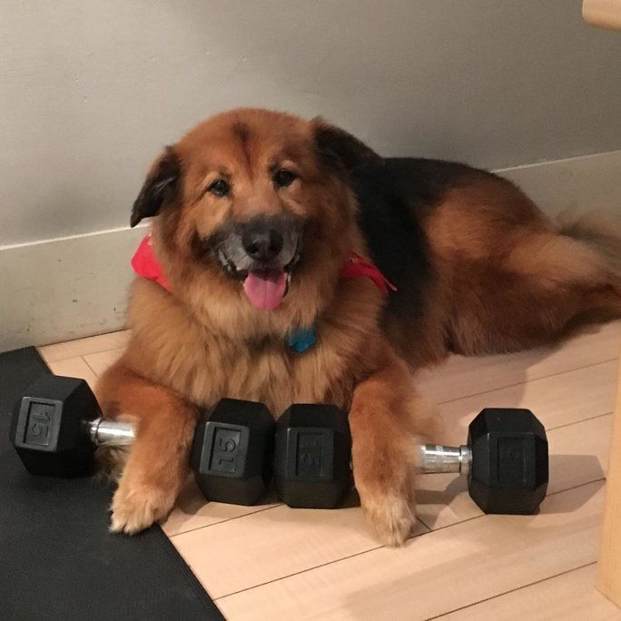 متى Chunk graduated to 15-pound weights after putting in all those hours at the gym. 