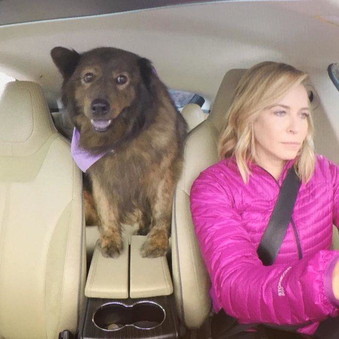 متى Tammy was the ultimate backseat driver. 