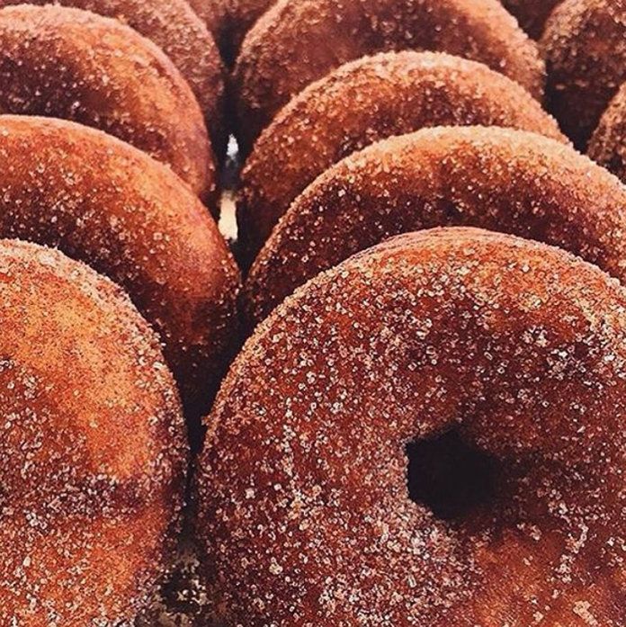 كارب Donut NYC 