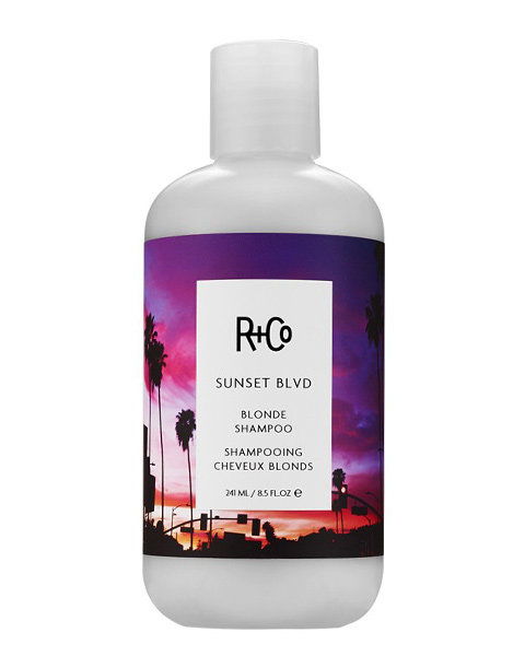 R + شركة Sunset Blvd. Blonde Shampoo 