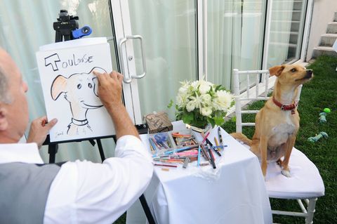 مدرب حافلة ركاب And Toulouse Grande Celebrate The Coach Pups Campaign By Hosting An Event In New York, July 28th