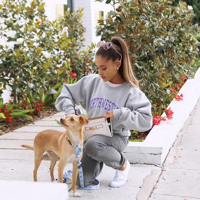 أريانة Grande and Toulouse