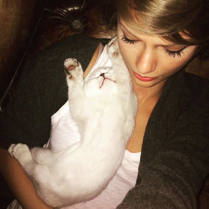 تايلور Swift and cat Olivia Benson 