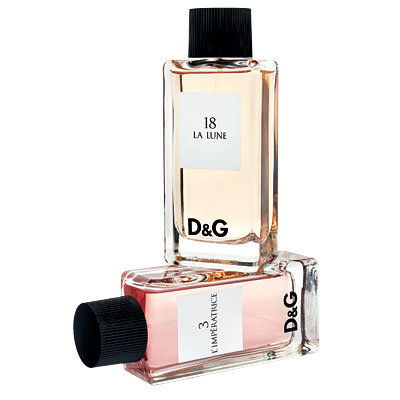 D & G perfume