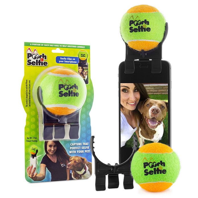 ال Original Dog Selfie Stick 