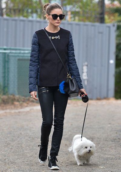 Оливиа Palermo Dog Walking